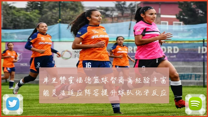 库里赞霍福德篮球智商高经验丰富能灵活适应阵容提升球队化学反应