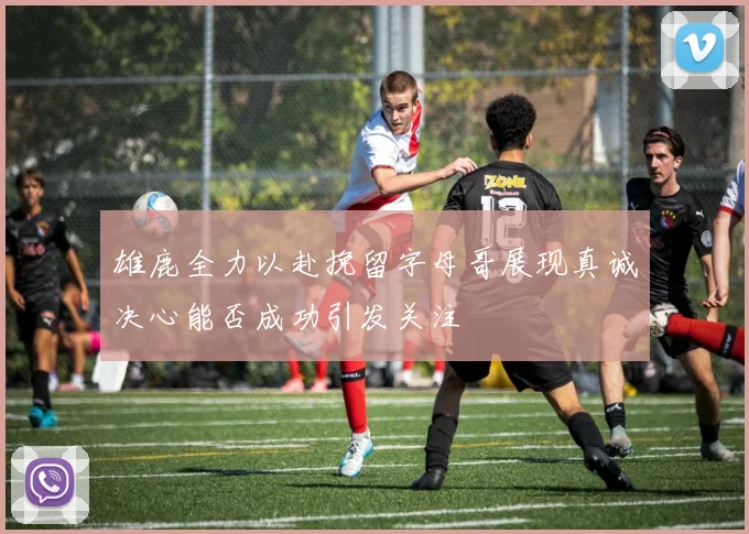 雄鹿全力以赴挽留字母哥展现真诚决心能否成功引发关注