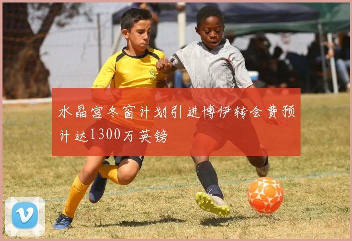 水晶宫冬窗计划引进博伊转会费预计达1300万英镑